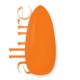 Allure 018 – Orange Peel – 10 ml